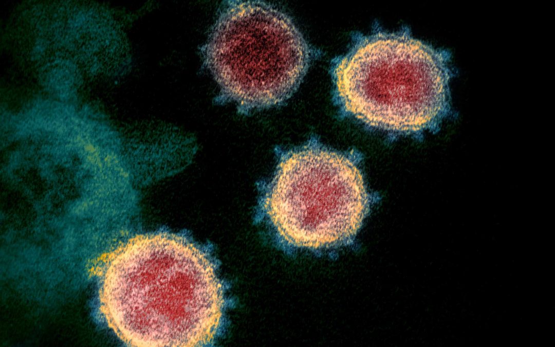 Scientists identify common vulnerabilities across SARS-CoV-2, SARS-CoV-1 and MERS coronaviruses